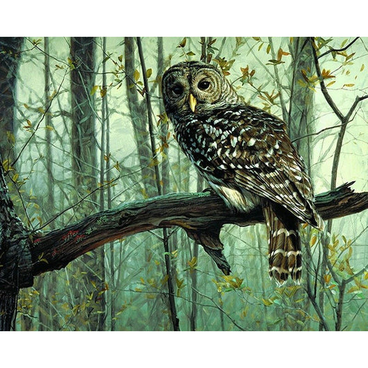 Forest Owl