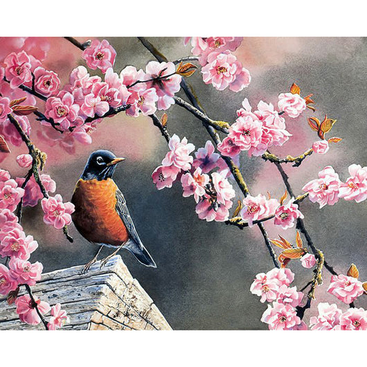Spring Bird