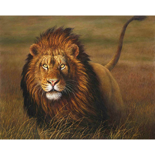 Wild Lion